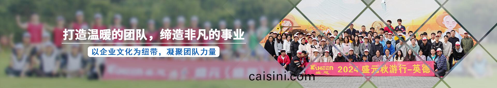 盛元新材料科技 盛(sheng)元新材料科技